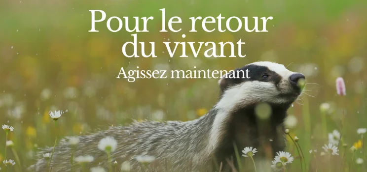 Biodiversité en Belgique : un appel urgent pour le vivant