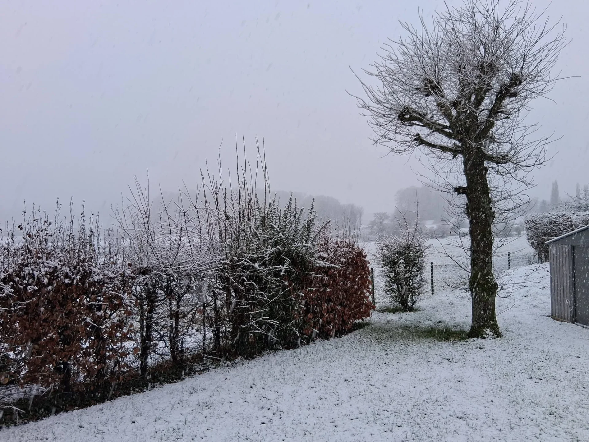 Gerpinnes (province de Hainaut) - Myriam Brys