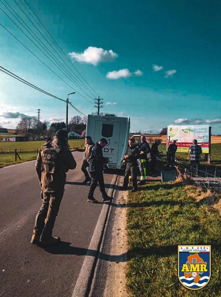 Un émeu disparu retrouvé sain et sauf après une opération de sauvetage menée par plusieurs associations
