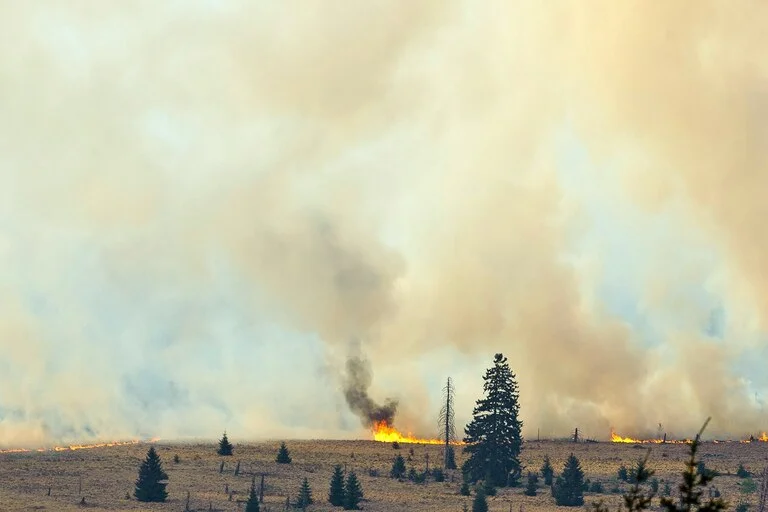 Belgique : sécheresse exceptionnelle, un mois d’avril parmi les plus secs jamais enregistrés et un risque accru d’incendies