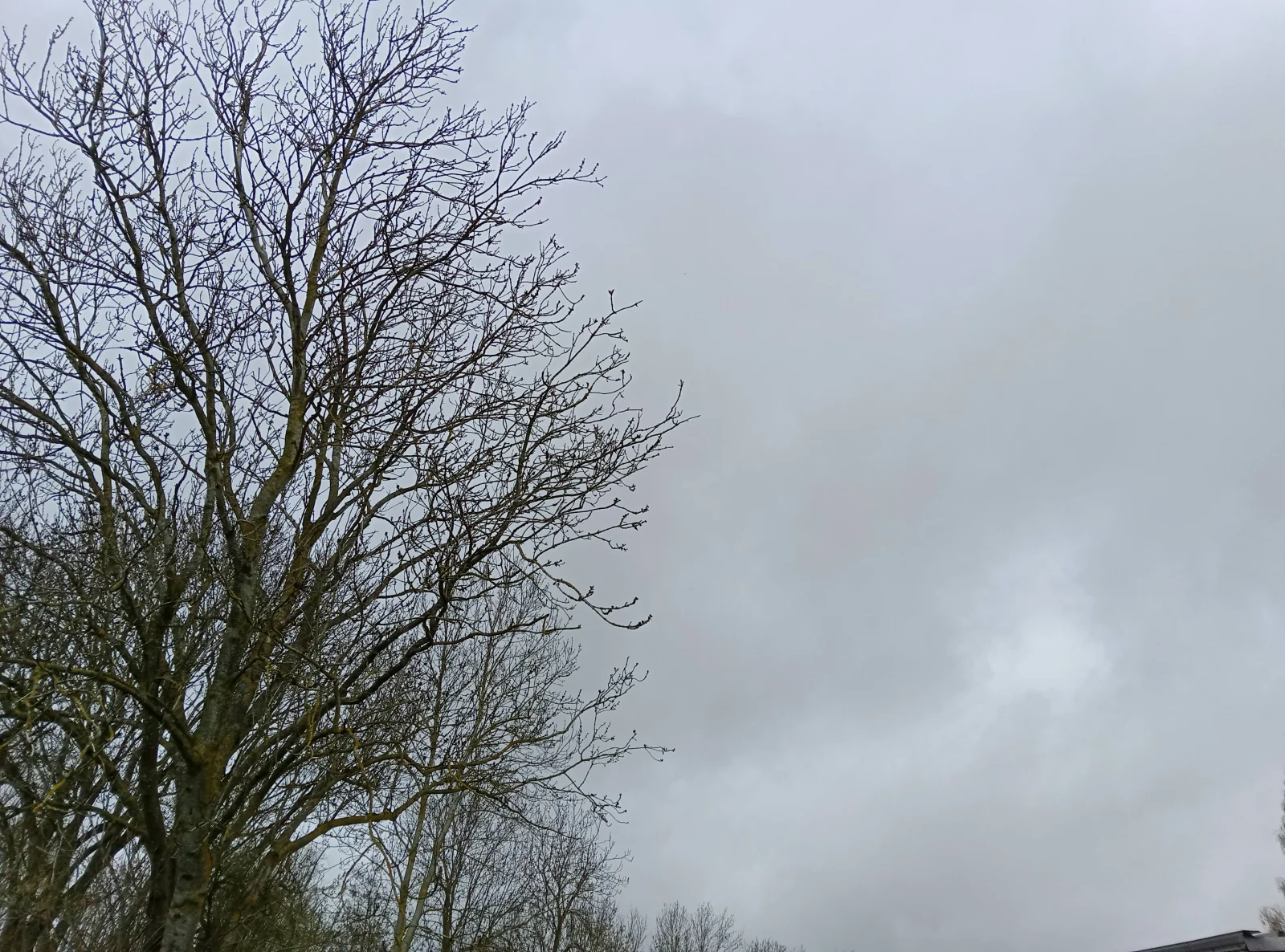 Fortes pluies : jusqu’à 40 l/m² attendus dans plusieurs provinces