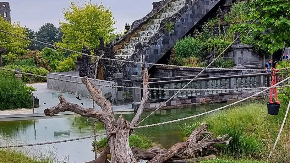 Pairi Daiza financera seul son futur parc aquatique en Wallonie