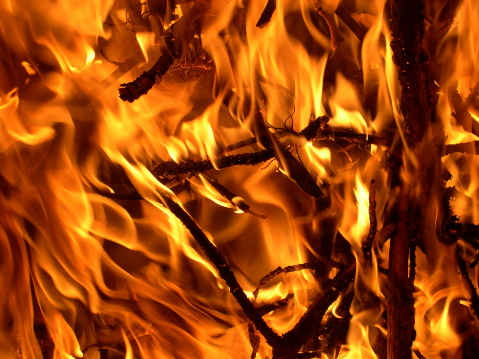 Chaleur en Belgique : la vigilance renforcée face aux risques d’incendie